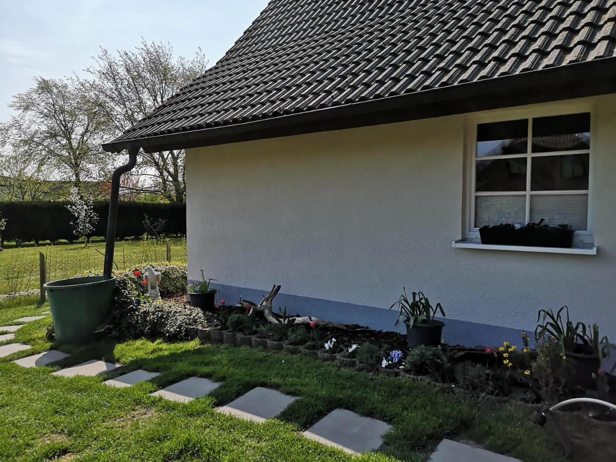 Boddenhus Auf Ruegen - Ferienwohnungen Und Pension Rappin Exterior foto
