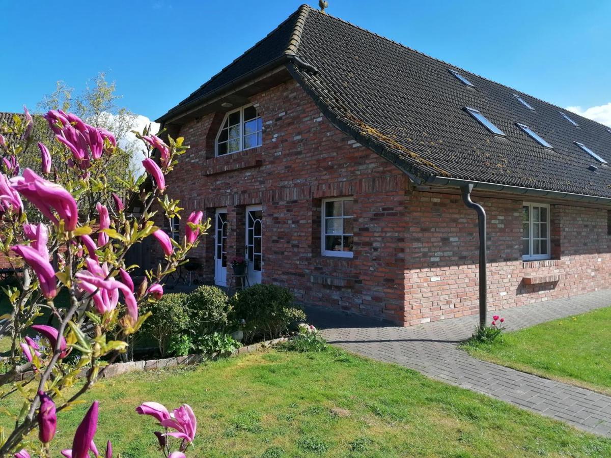 Boddenhus Auf Ruegen - Ferienwohnungen Und Pension Rappin Exterior foto